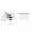 Kangaroo Sewing Furniture Kookaburra, Kangaroo and Joey II Bundle Cabinet Set (Ash White)